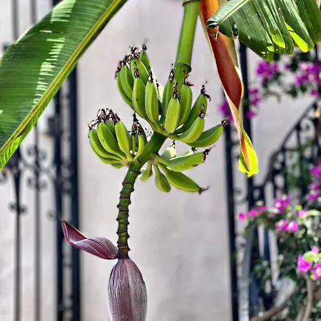 Apartamento Del Mar *